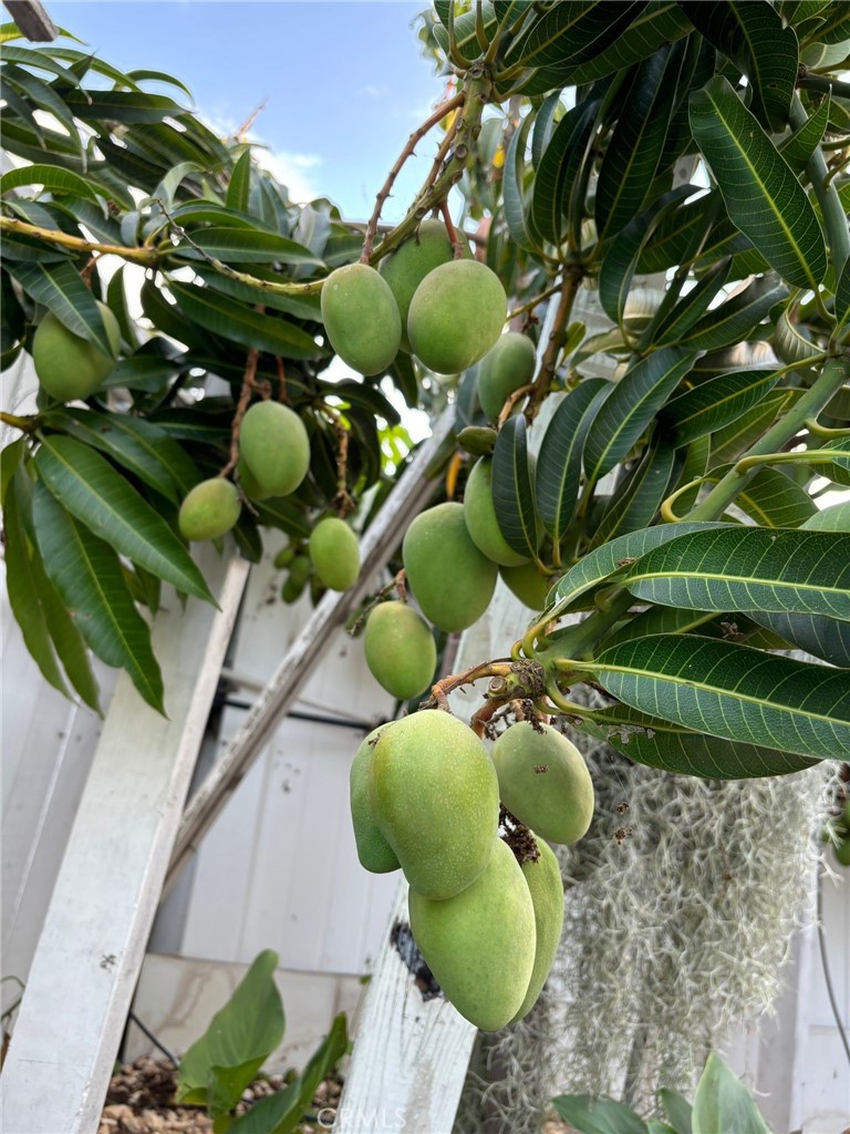 14602 Devonshire Avenue