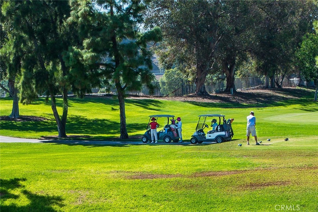 2249 Via Mariposa E N