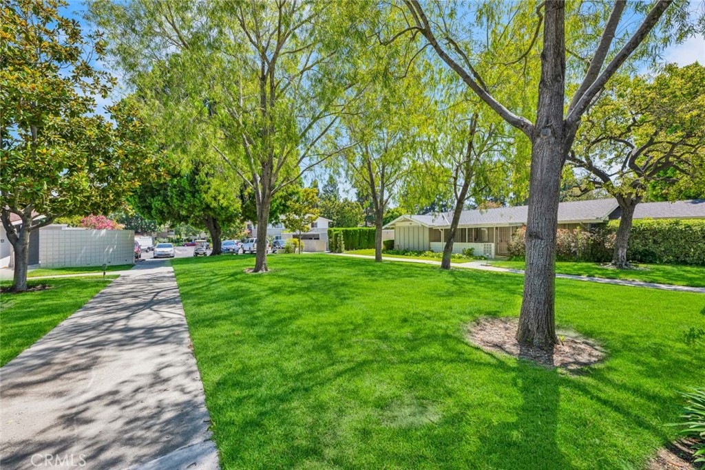 336 Avenida Sevilla B