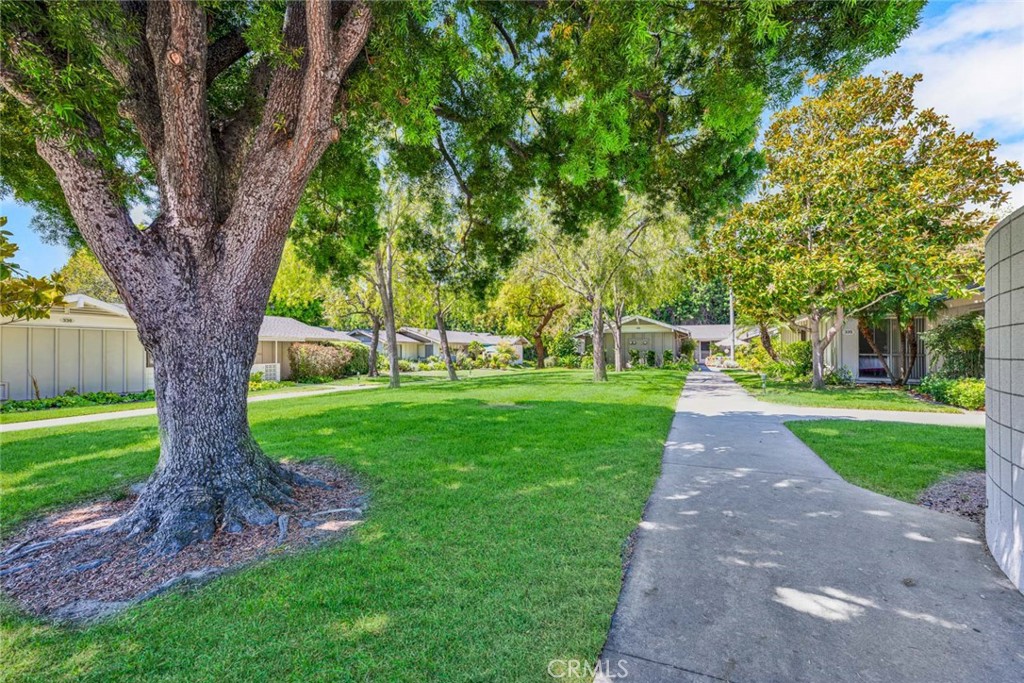 336 Avenida Sevilla B