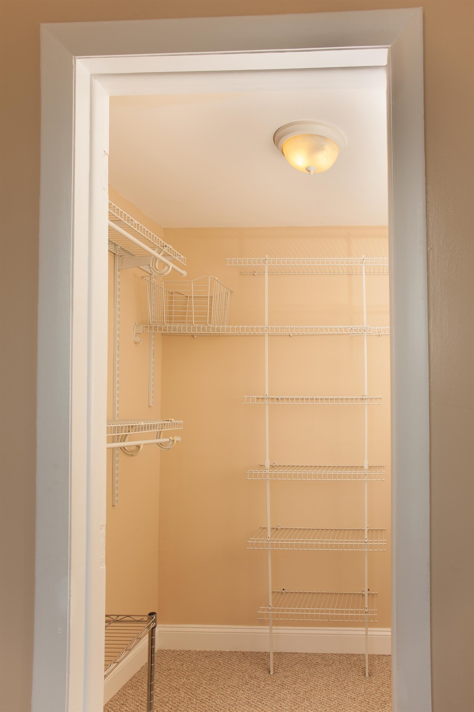 384 WEBSTER AVE Unit: 2