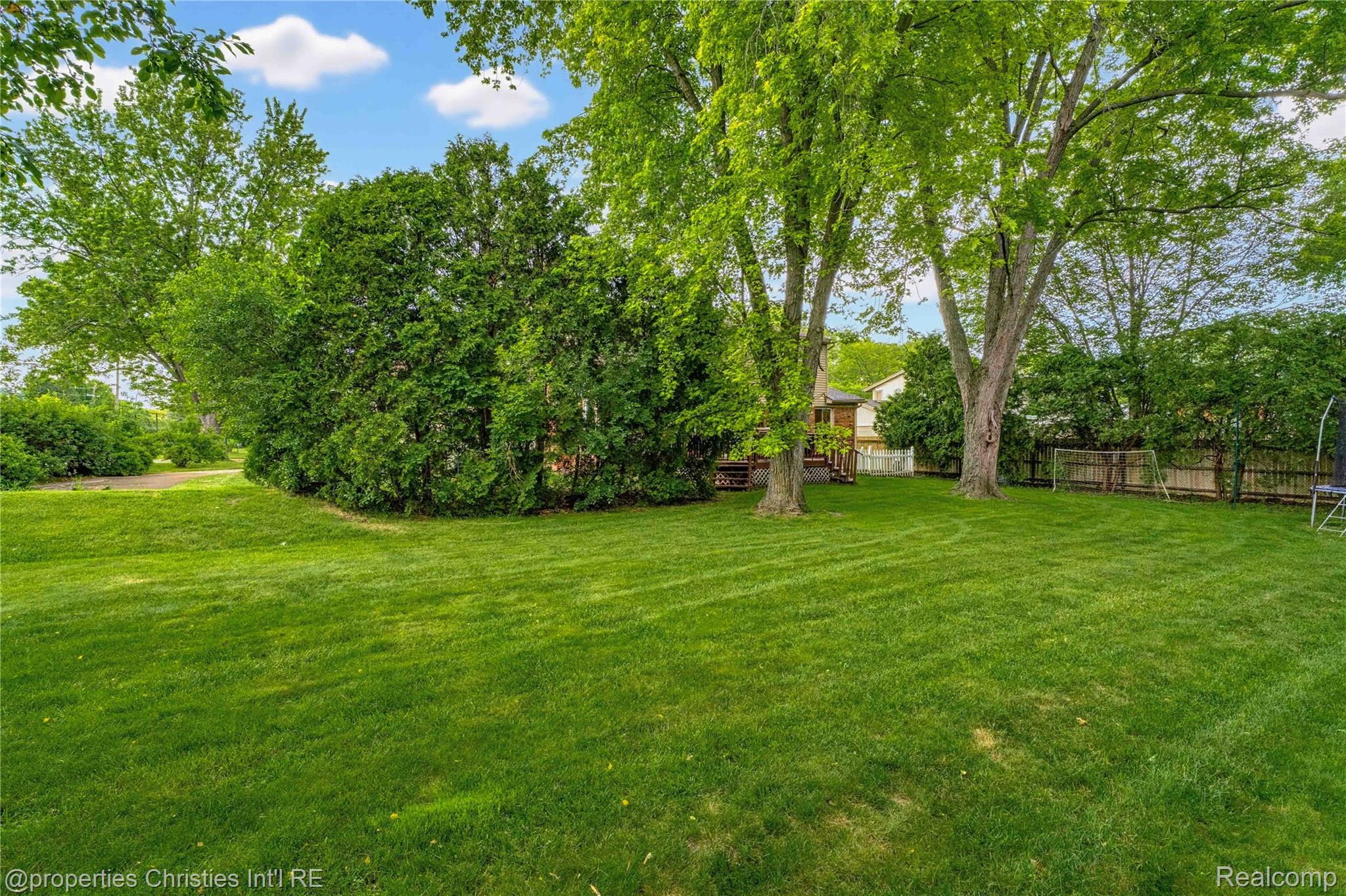 1981 Condor Drive