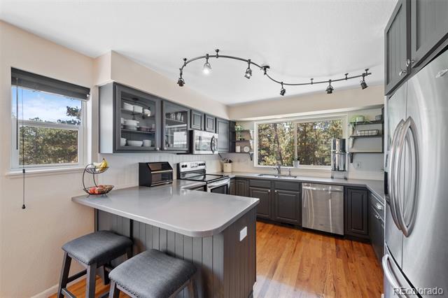 1274 Gambel Oaks Drive