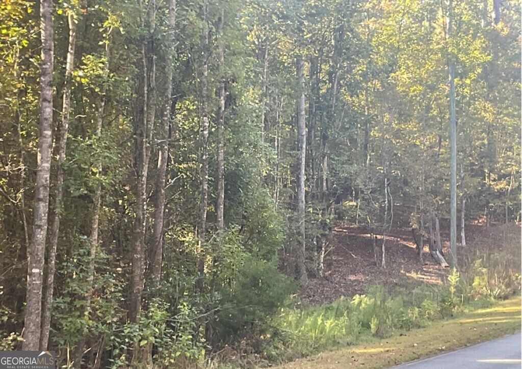 LOT 161 Jamesway Drive