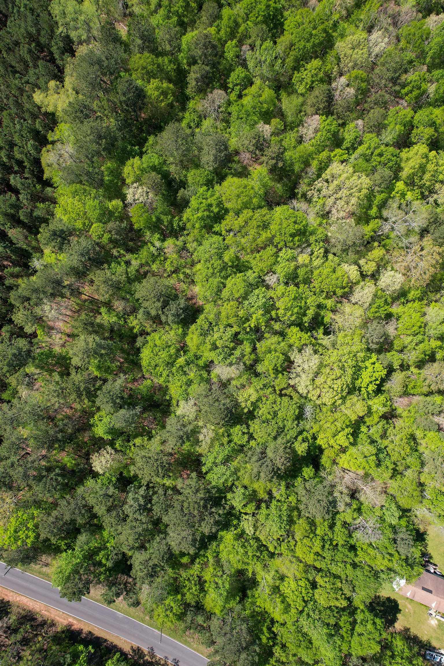 Lot 15 OLD COPELAN ROAD