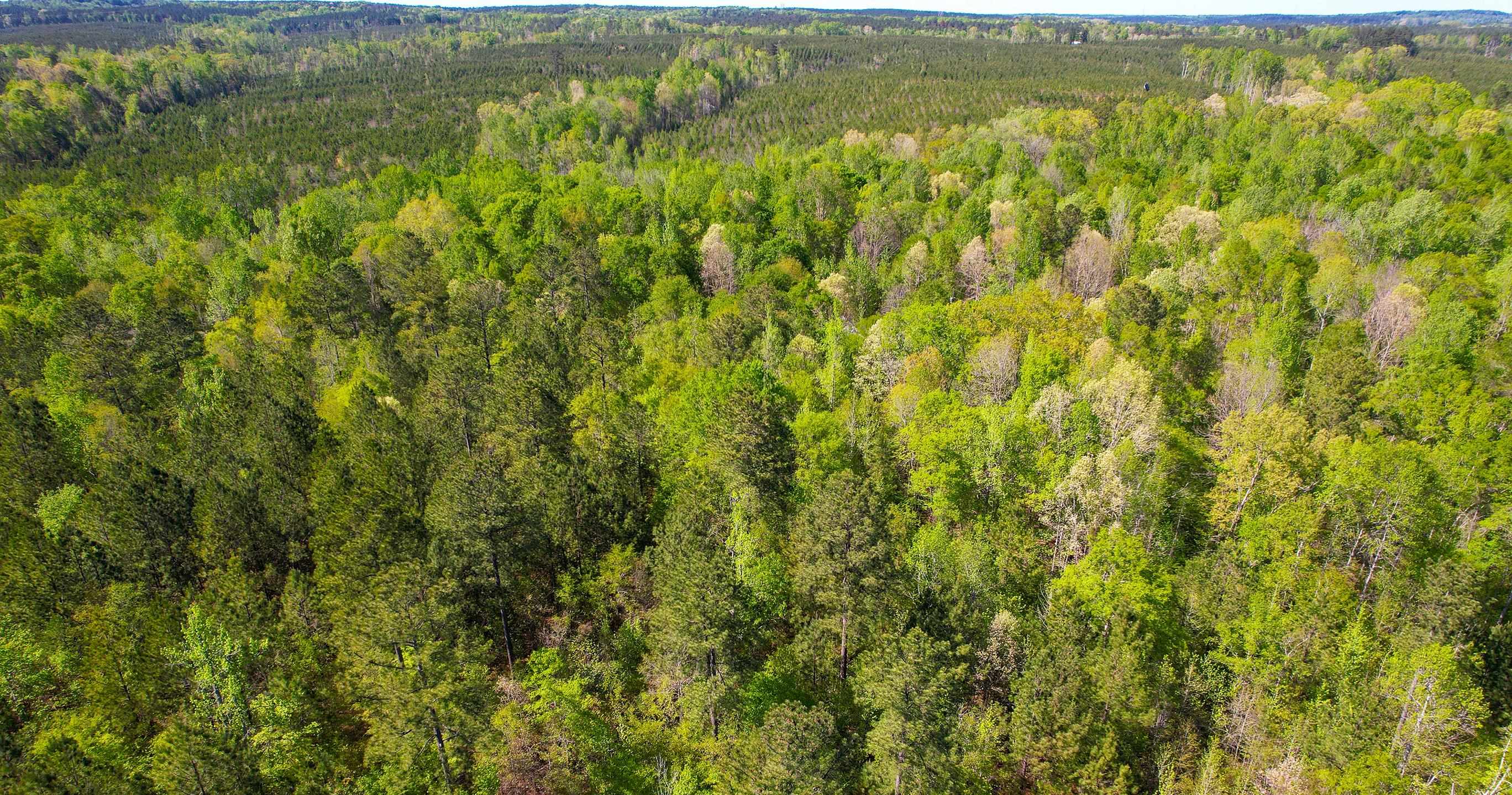 Lot 15 OLD COPELAN ROAD