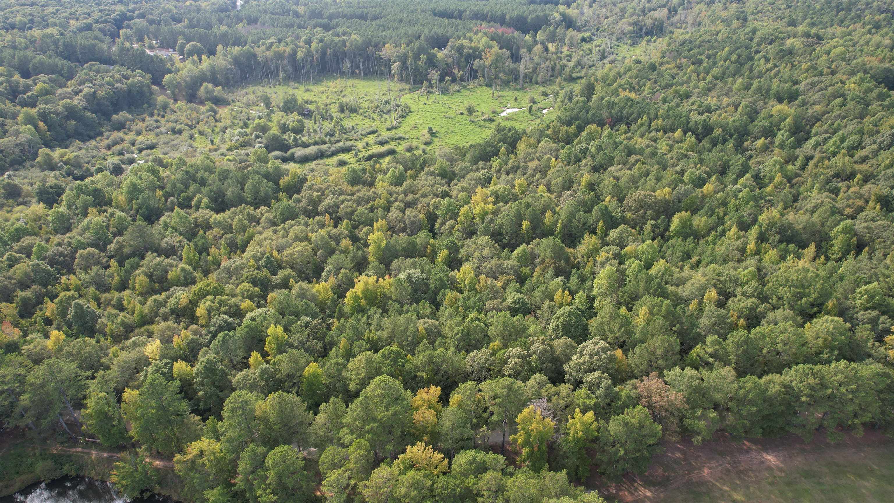 50 AC SEWELL ROAD # 93