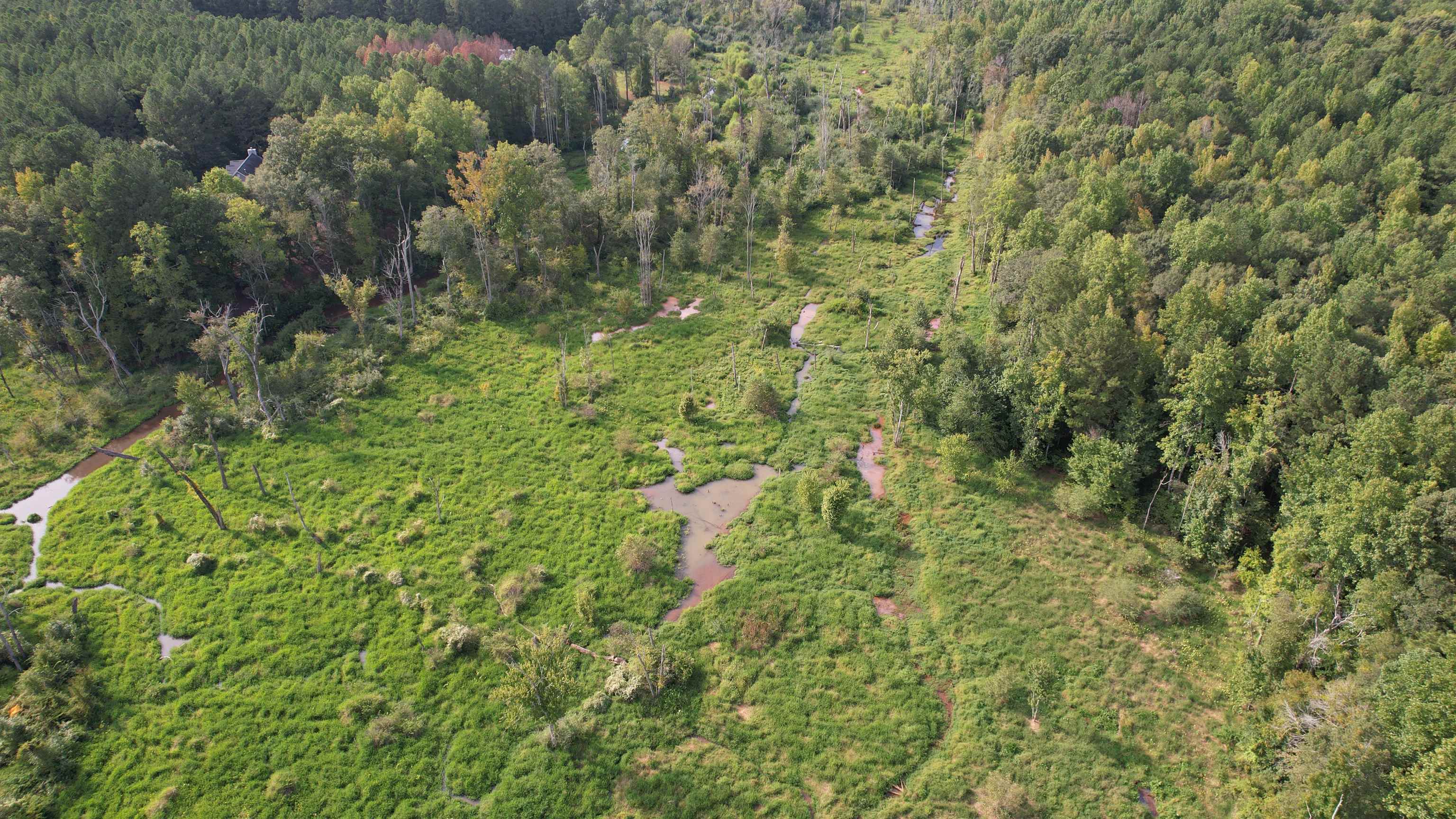 50 AC SEWELL ROAD # 93