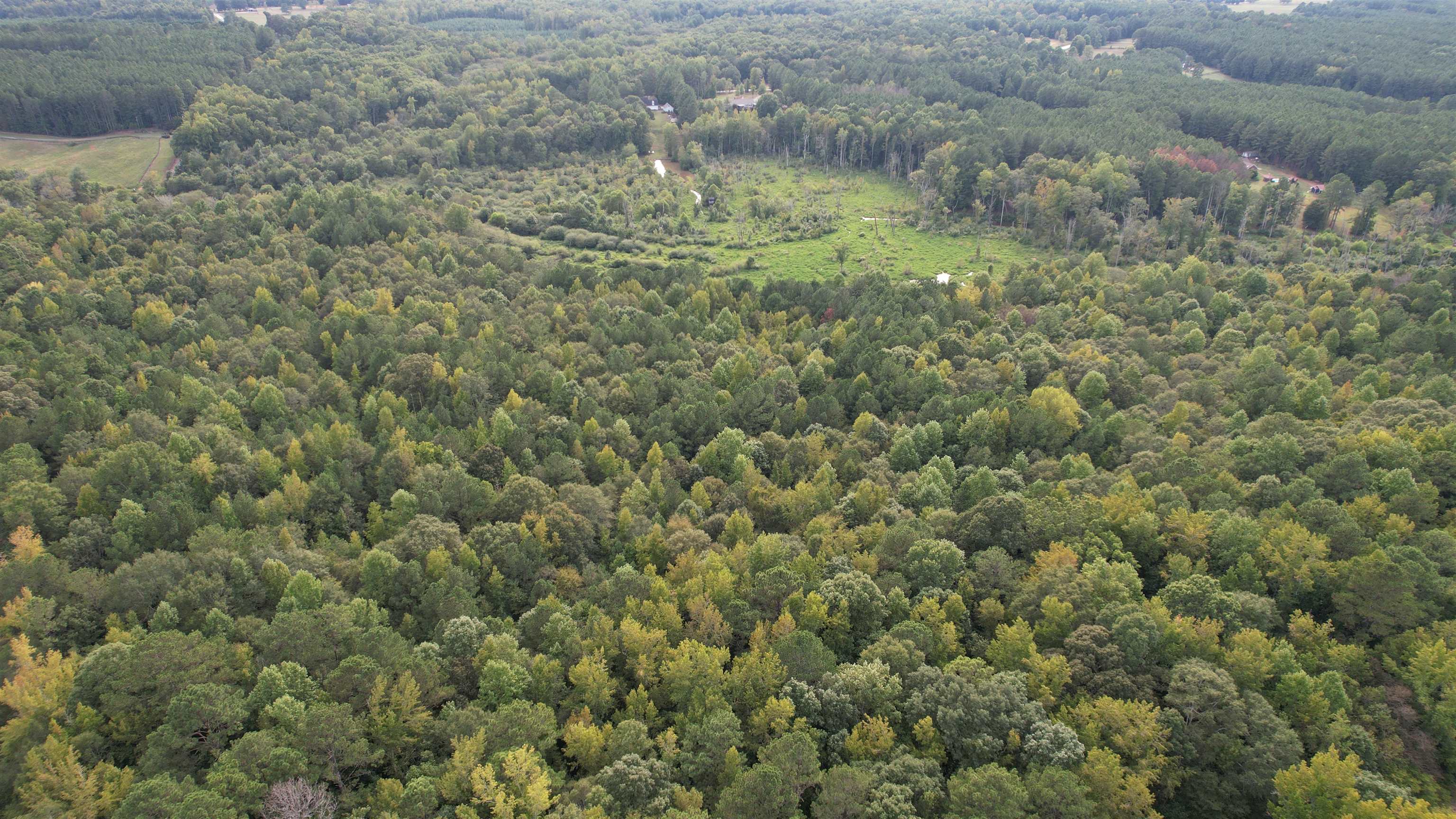 50 AC SEWELL ROAD # 93