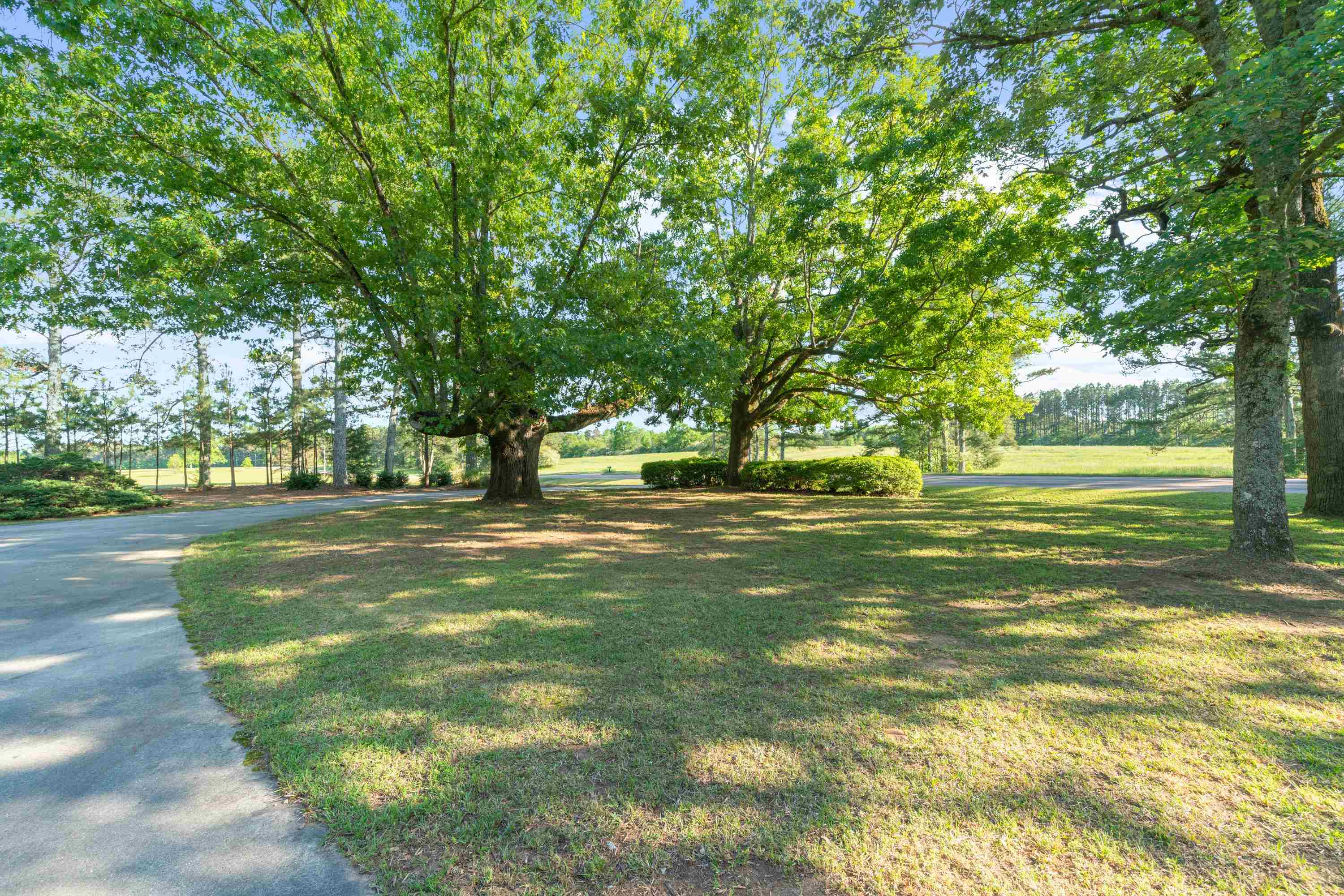 2941 LITTLE RIVER ROAD