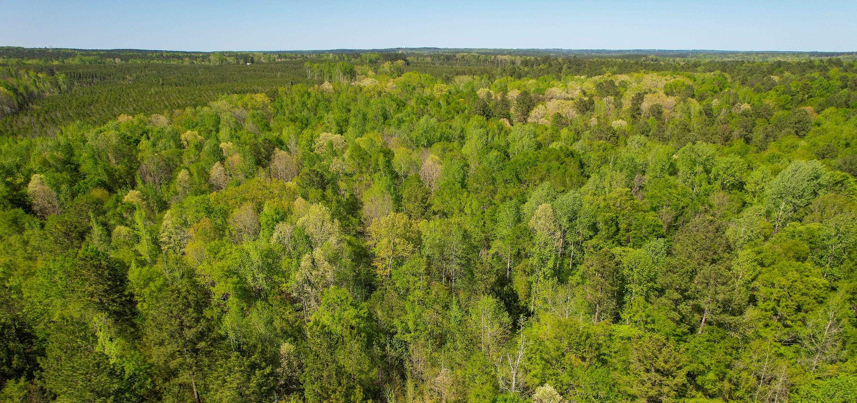 Lot 11 OLD COPELAN ROAD