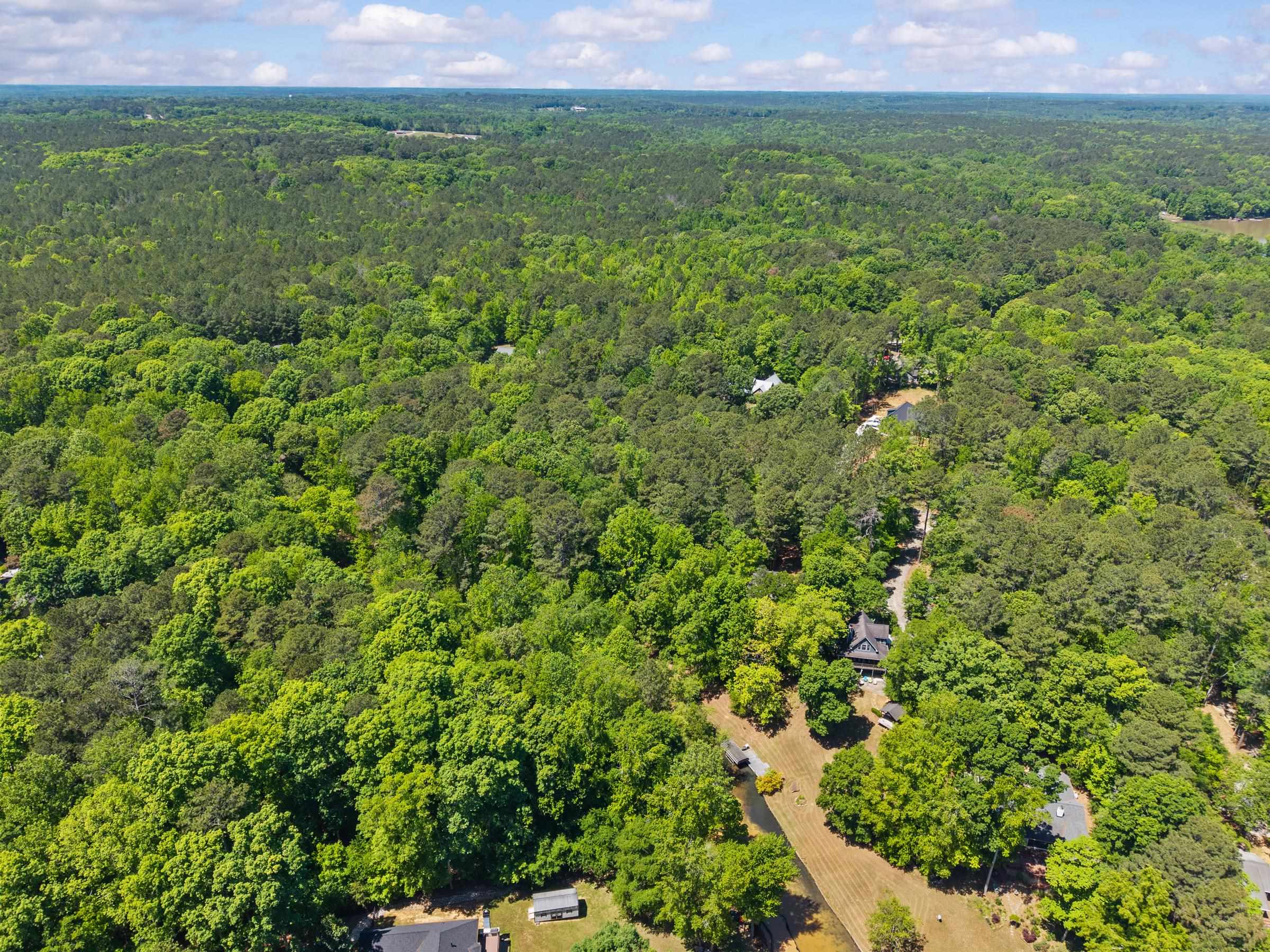 Lot 19 APALACHEE WOODS TRAIL