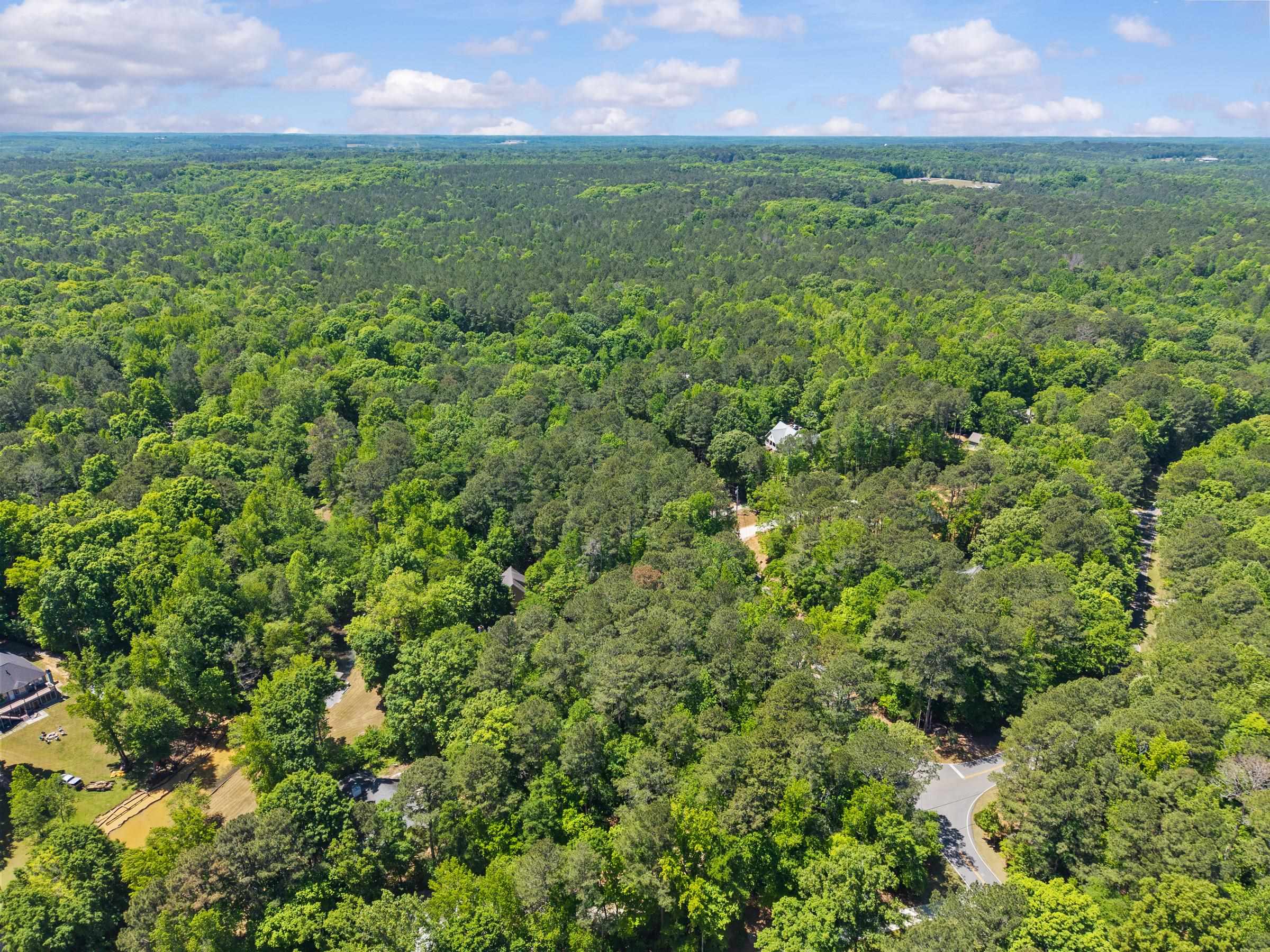 Lot 19 APALACHEE WOODS TRAIL