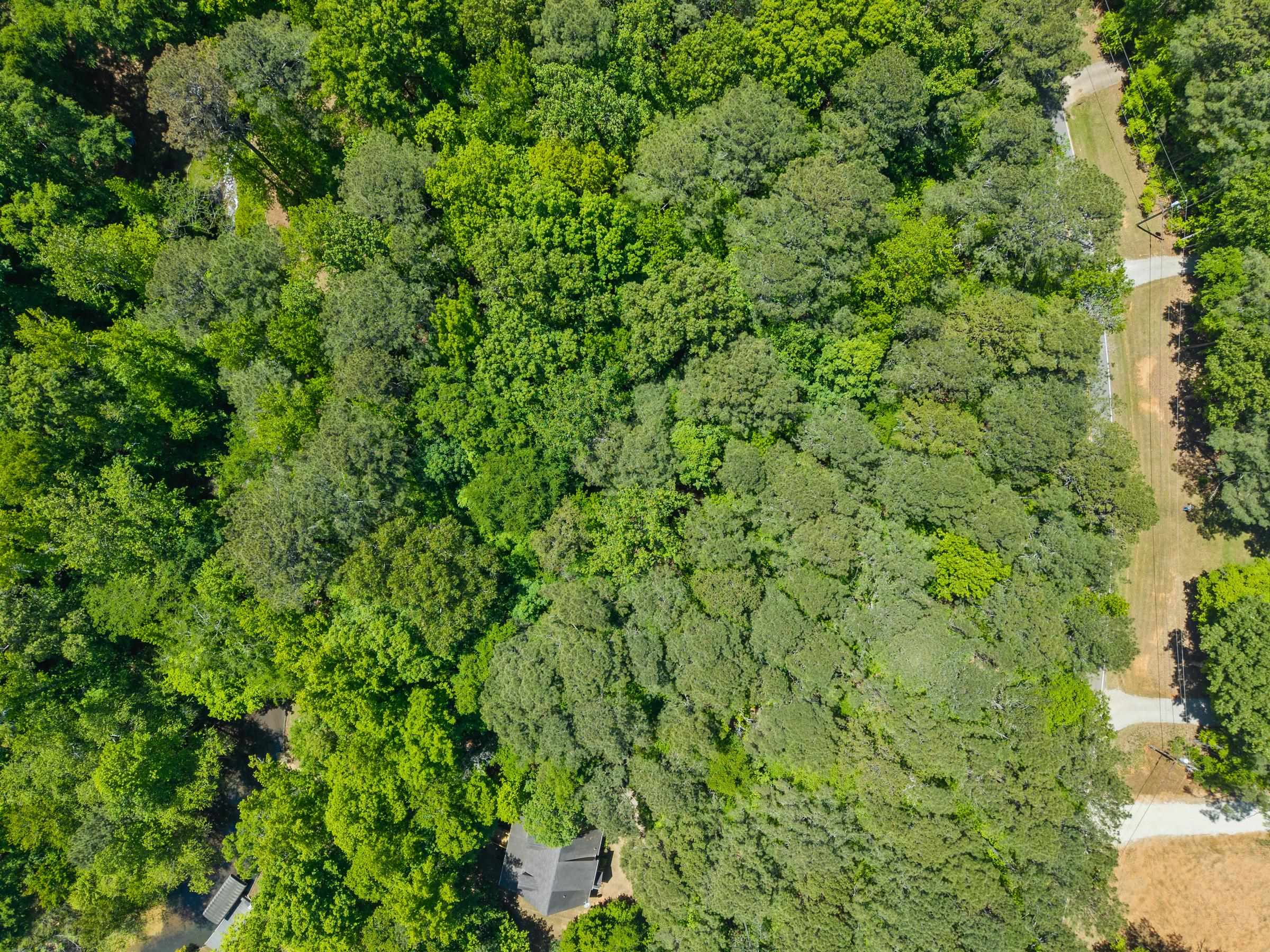 Lot 19 APALACHEE WOODS TRAIL