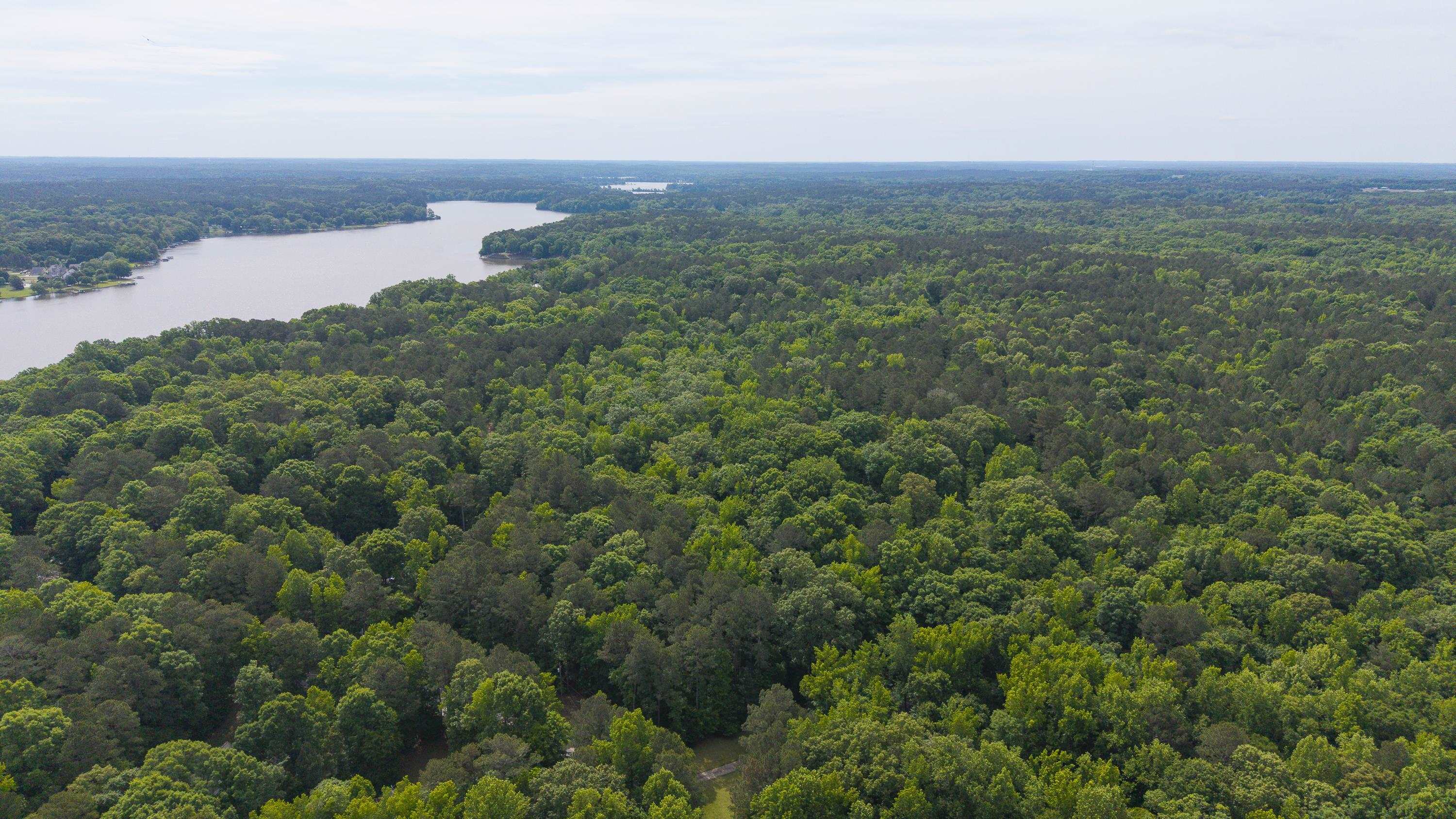 Lot 43 APALACHEE WOODS TRAIL
