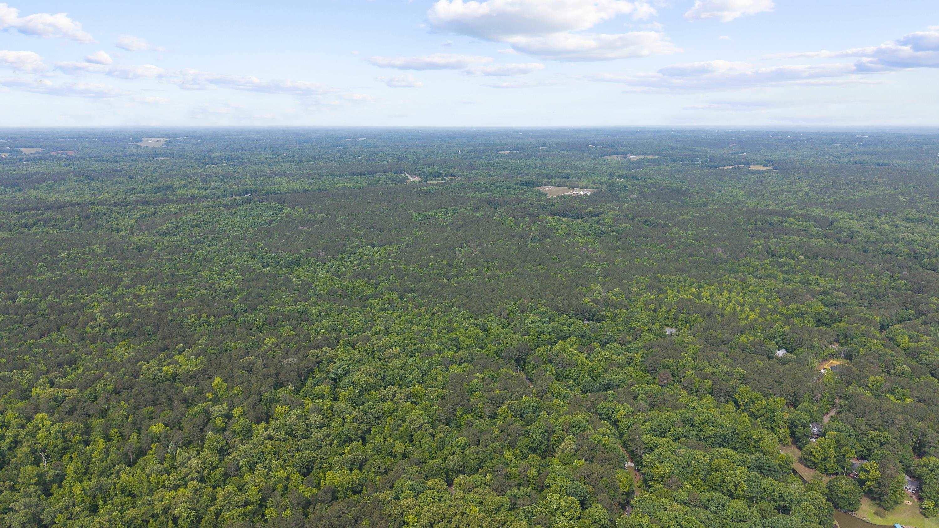 Lot 43 APALACHEE WOODS TRAIL