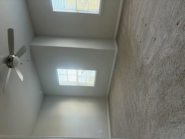 1653 Coral Sunrise TRL