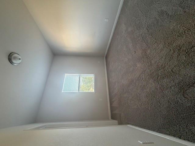 1653 Coral Sunrise TRL