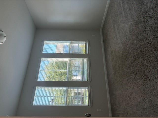 1653 Coral Sunrise TRL