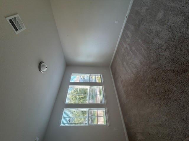 1653 Coral Sunrise TRL
