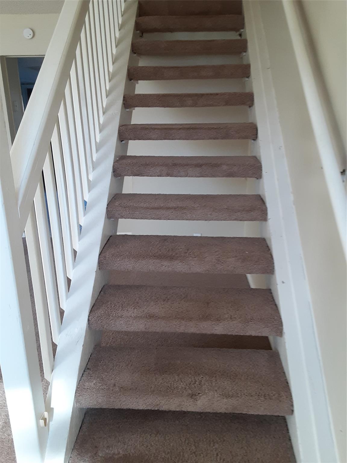 3206 Mossrock DR # 101