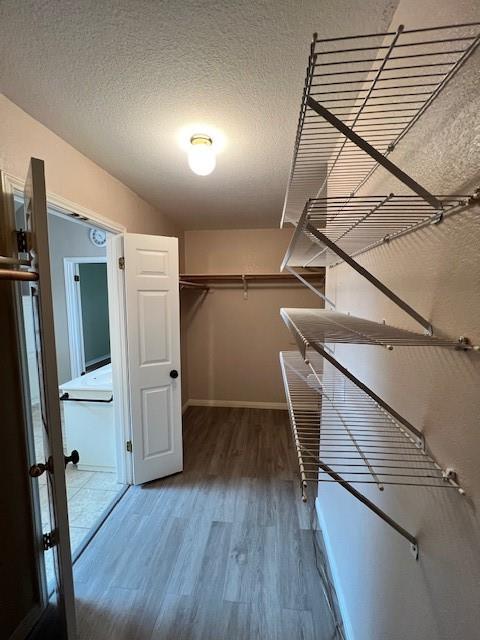 1239 Rocky Creek DR