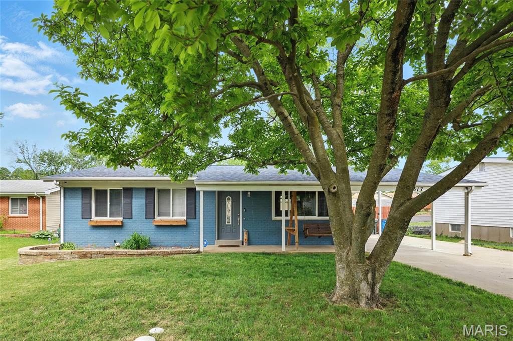 7317 Elm Grove Court