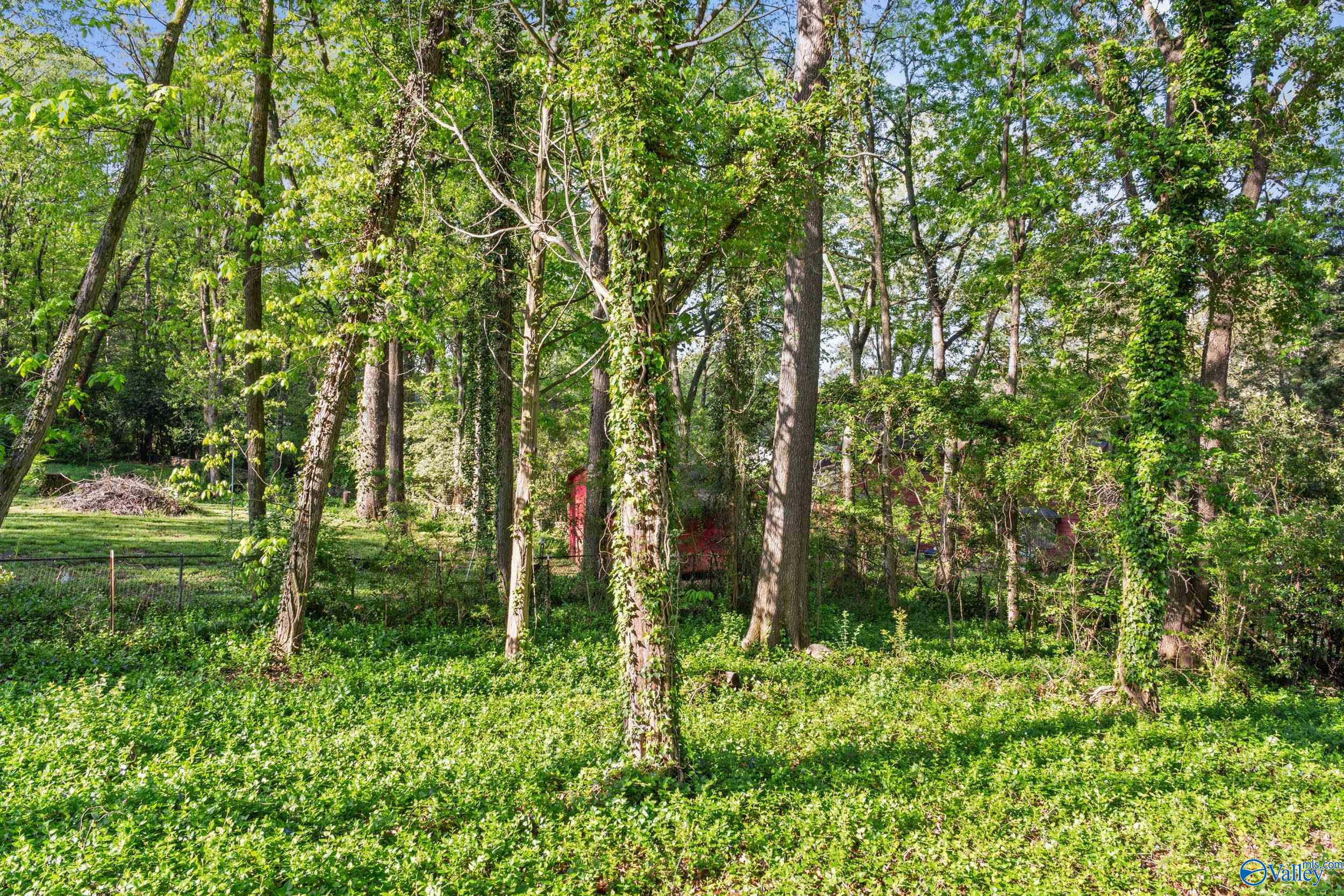 609 Bain Drive SE