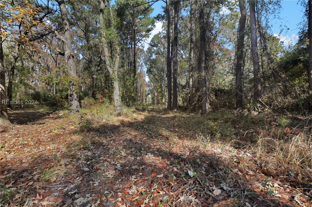 49 Roseida Road Extension