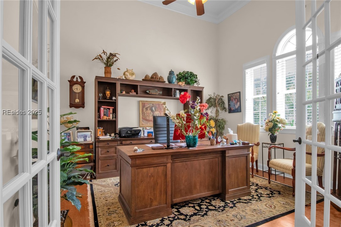 16 Chadbourne Street