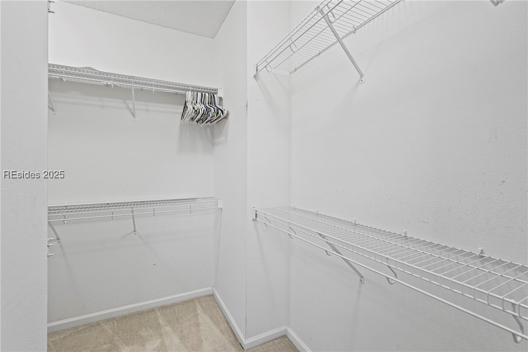 14 Old Country Roses