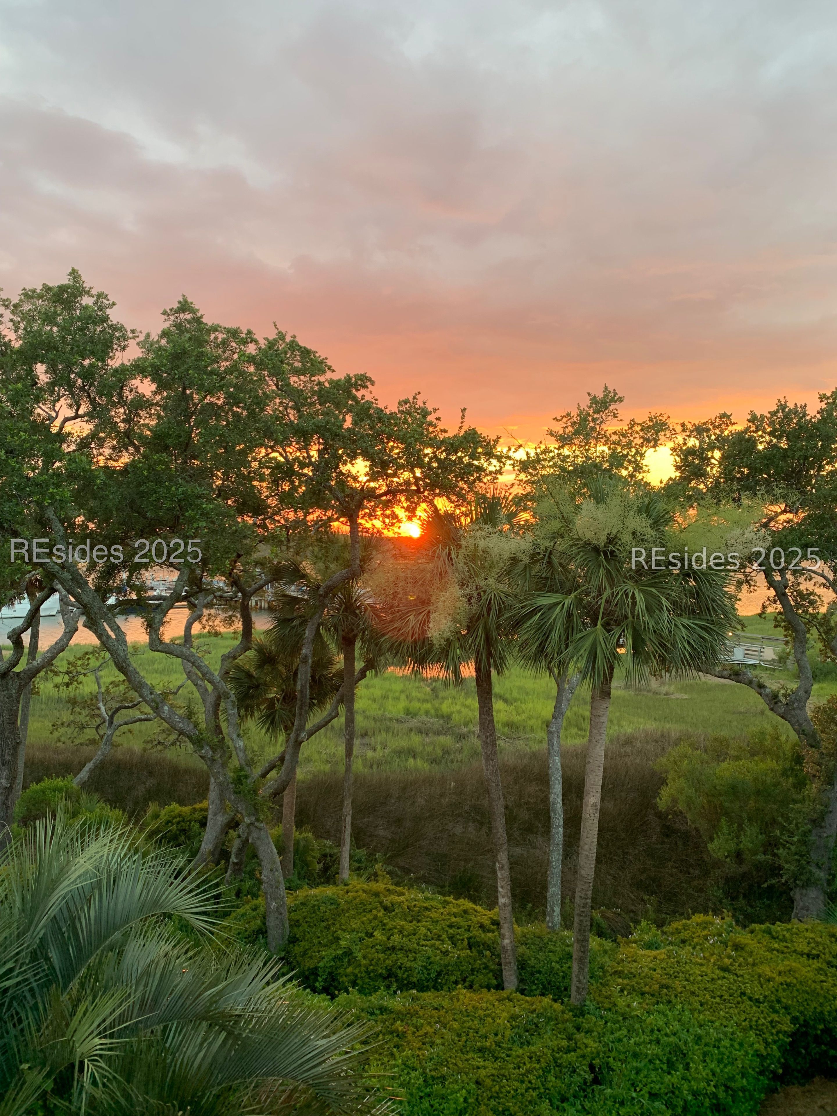 73 Skull Creek Drive Unit: 316