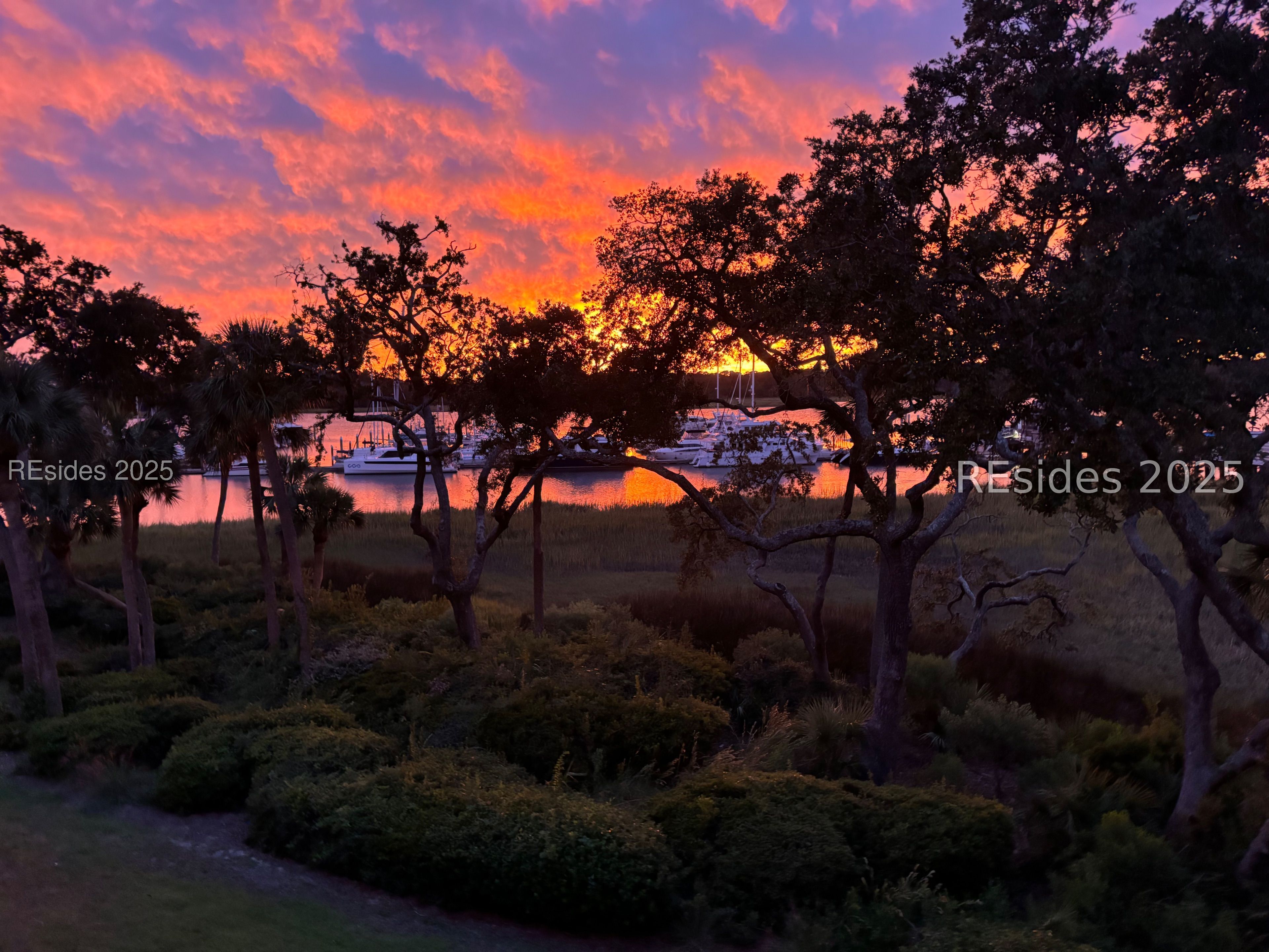 73 Skull Creek Drive Unit: 316