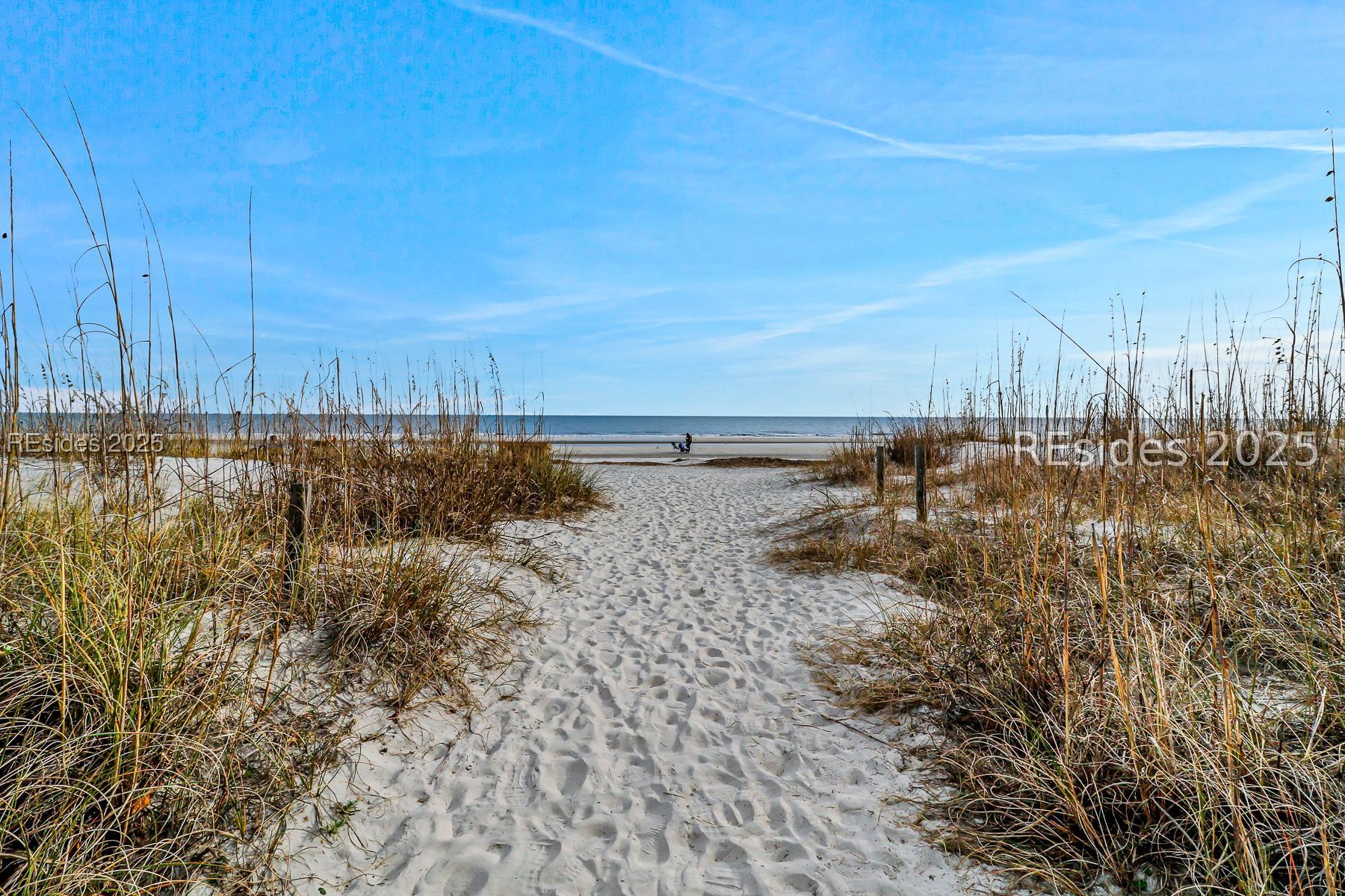 23 S Forest Beach Drive Unit: 388