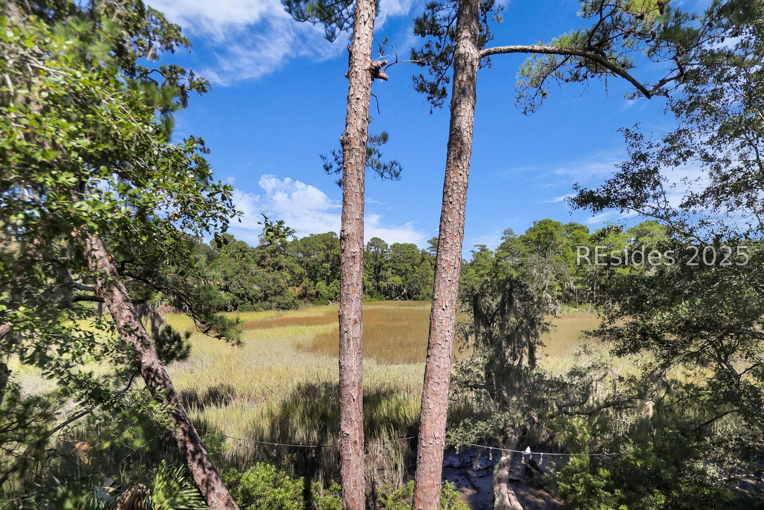 91 Jarvis Creek Lane