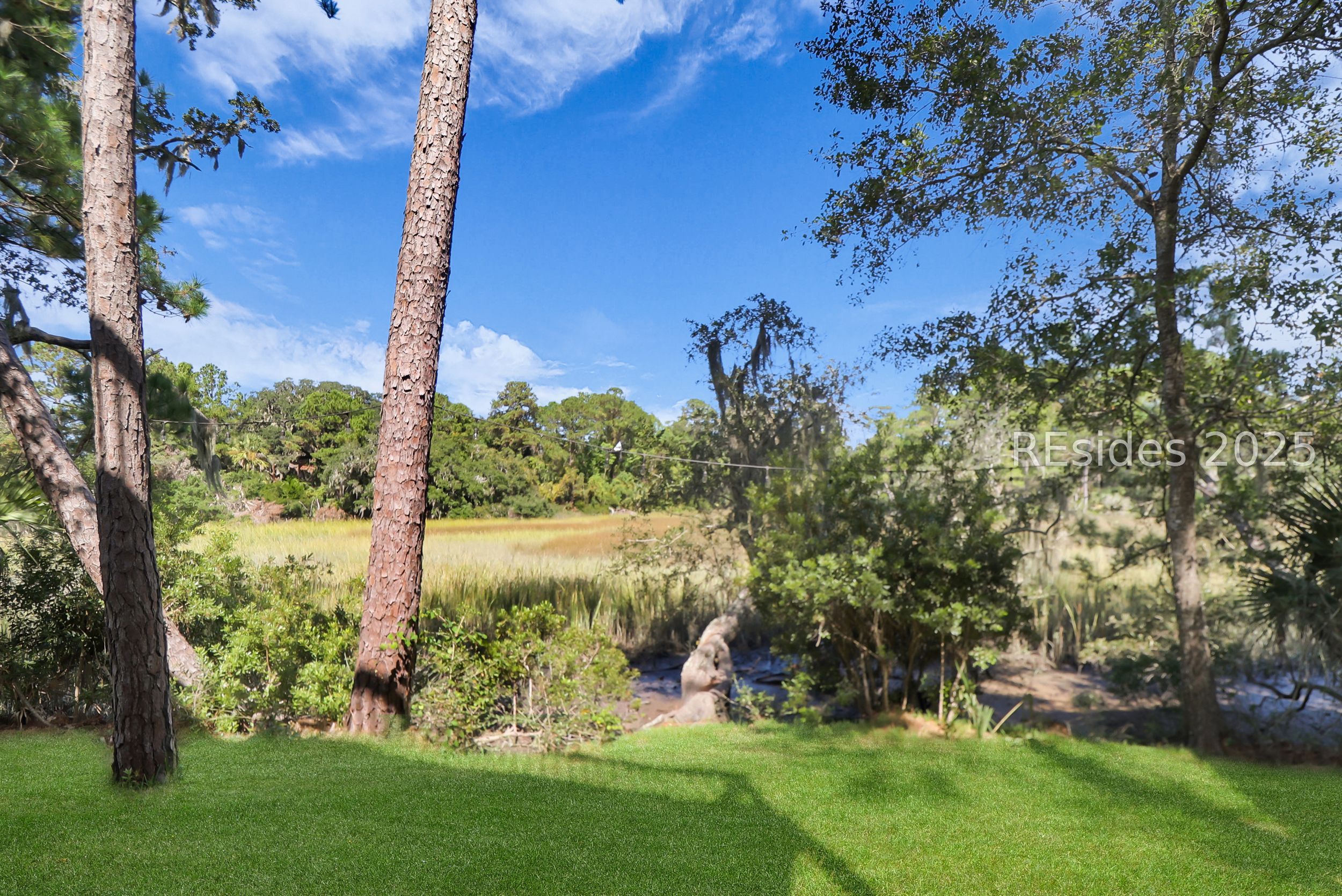 91 Jarvis Creek Lane