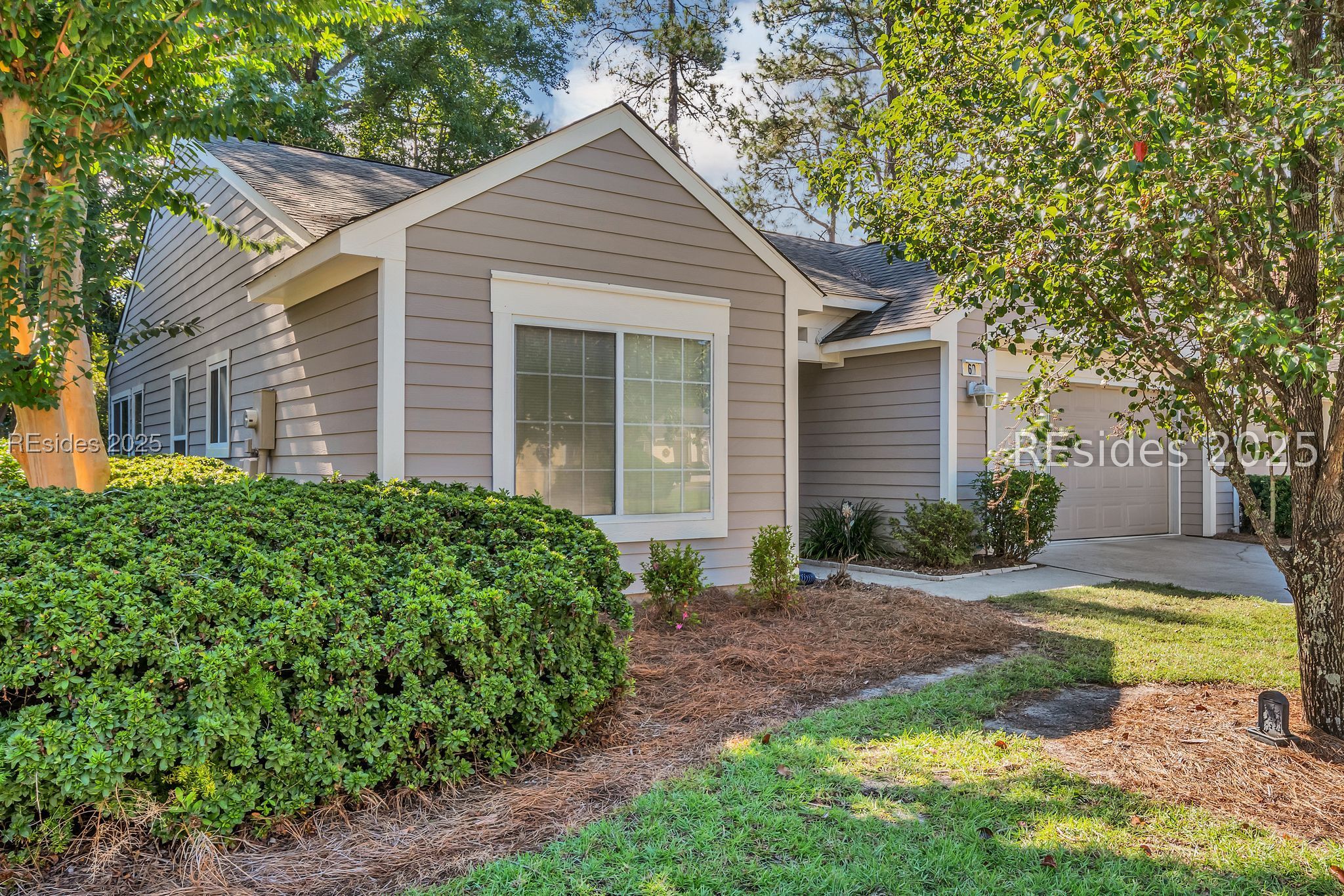 60 Padgett Drive