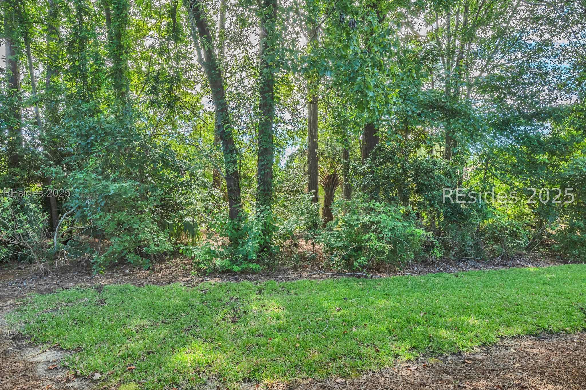 60 Padgett Drive