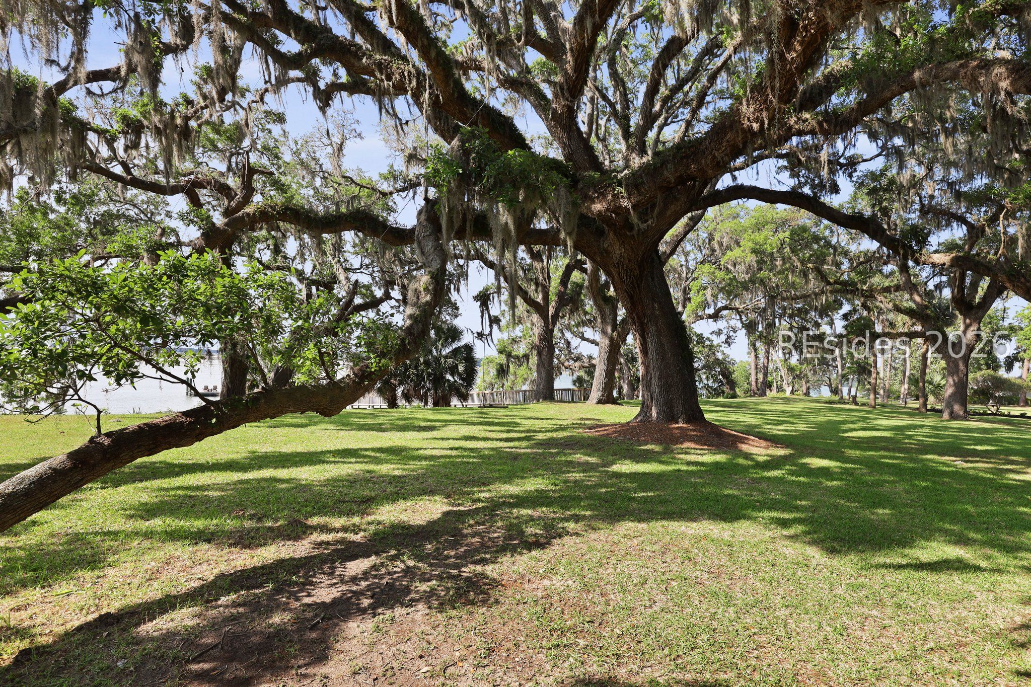 66 Pinkney Boulevard