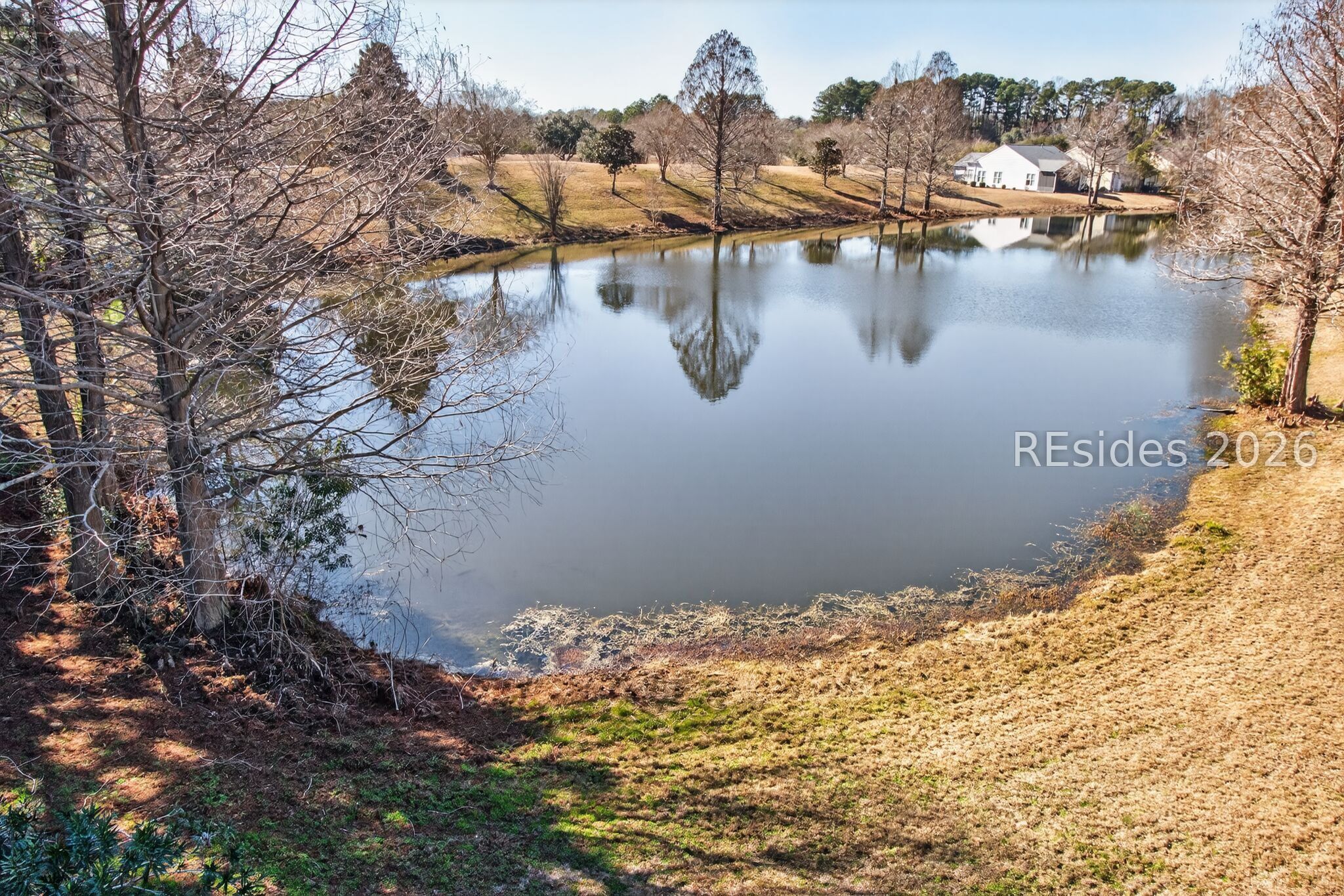 41 Cypress Run