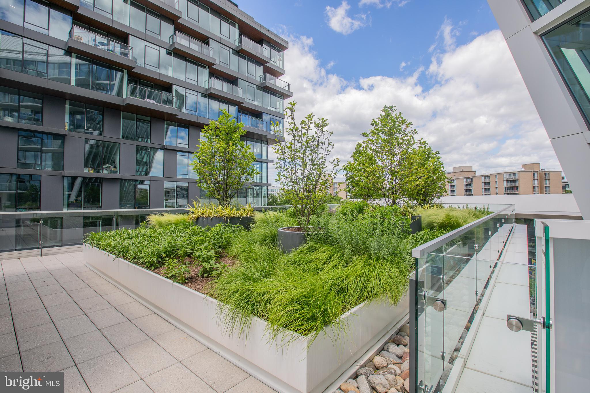 601 WHARF ST SW #204