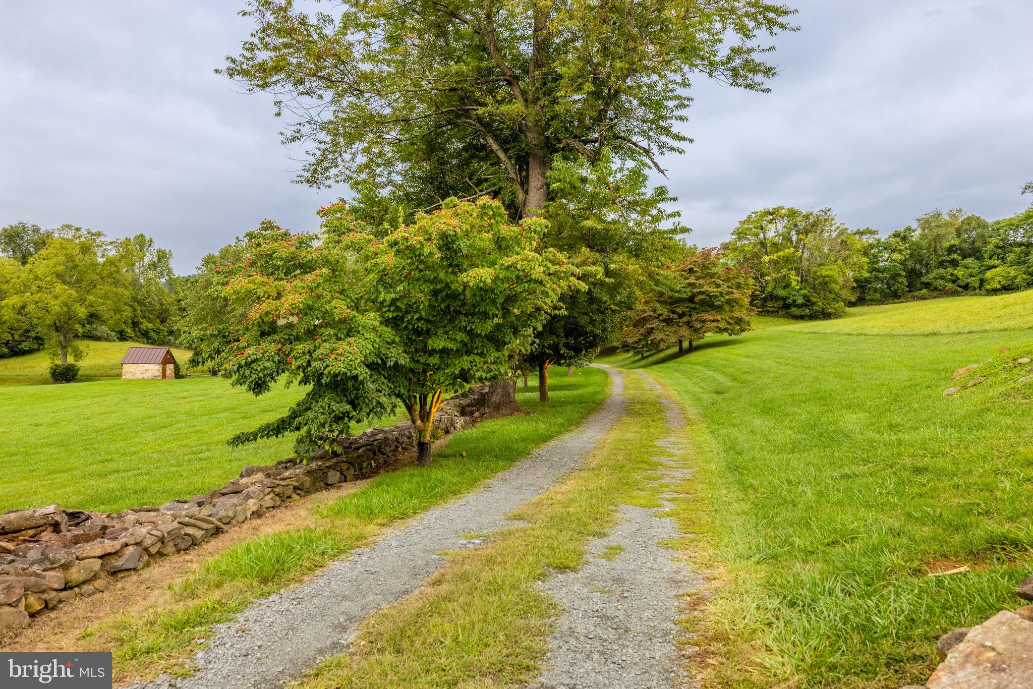 14071 Rd