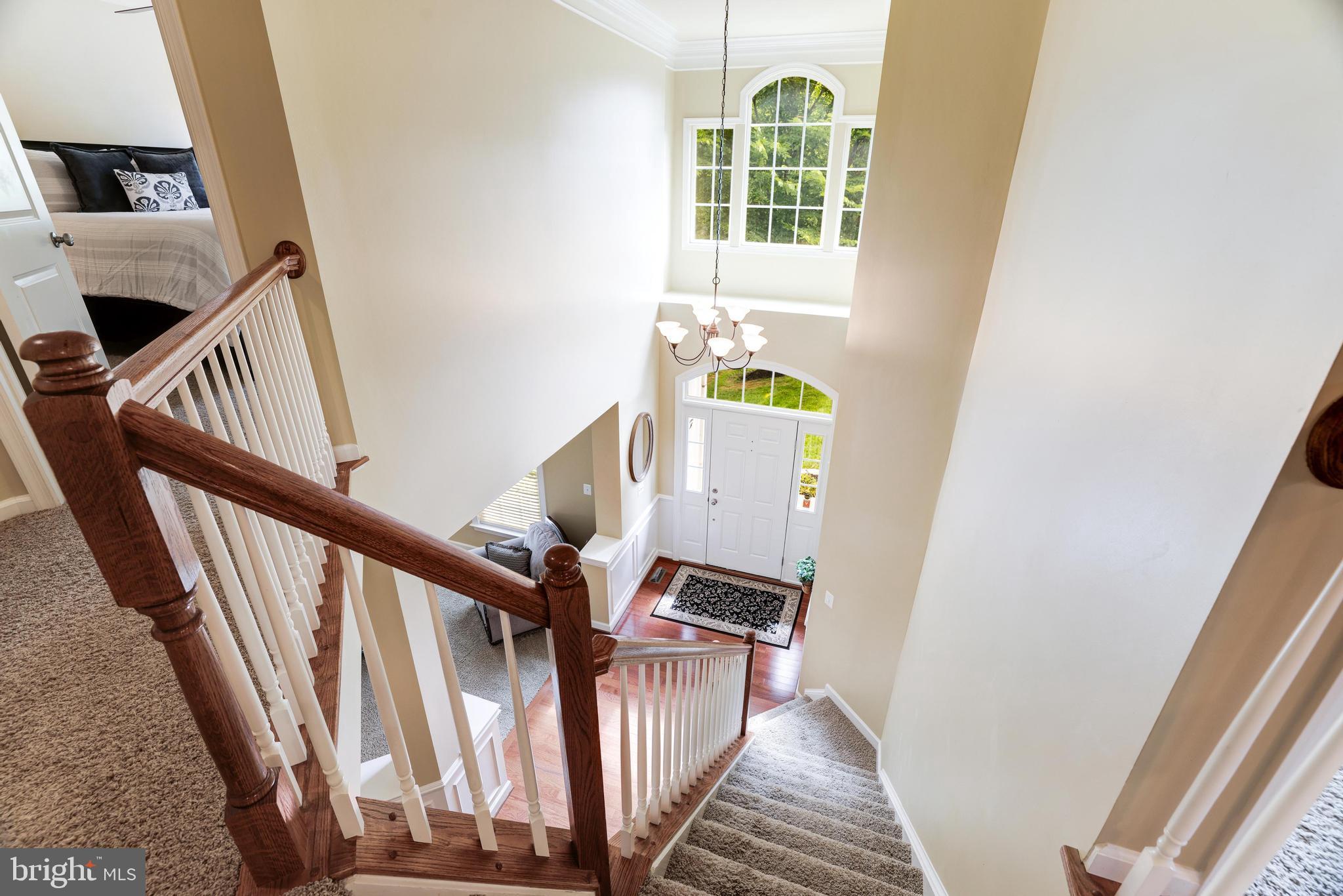 3925 Lake Ashby Ct