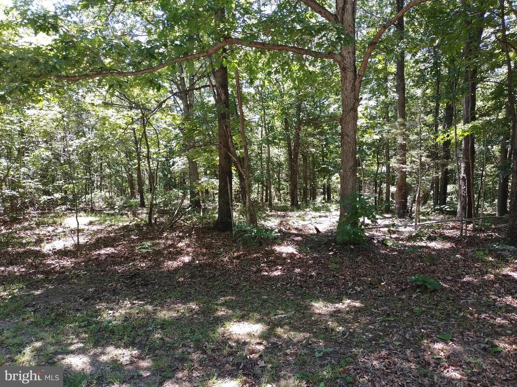 415 Dusty Ln