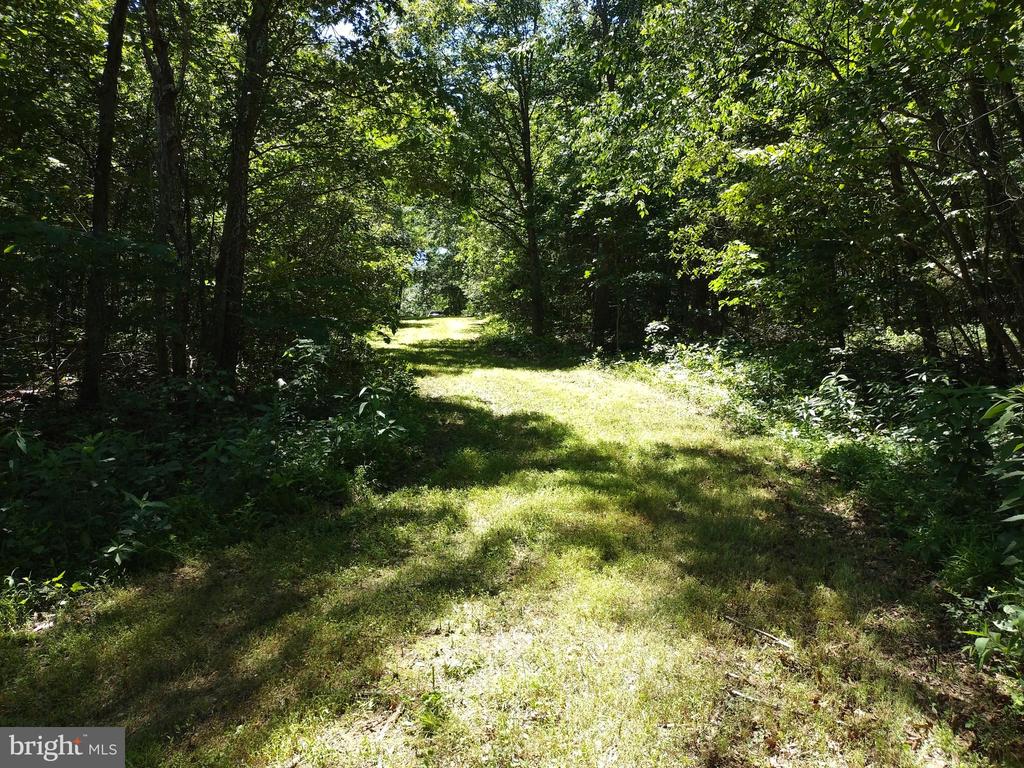 415 Dusty Ln