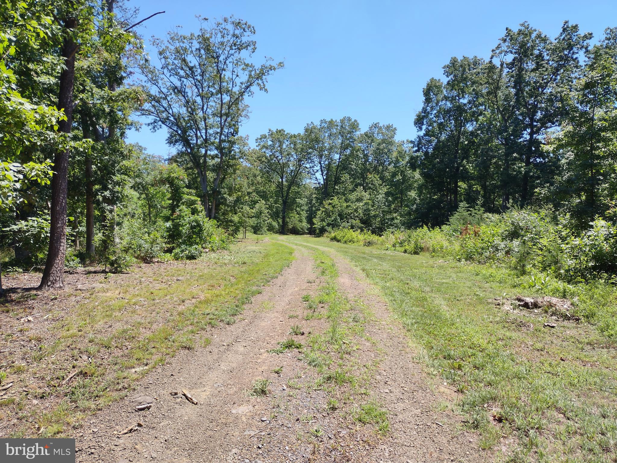 415 Dusty Ln
