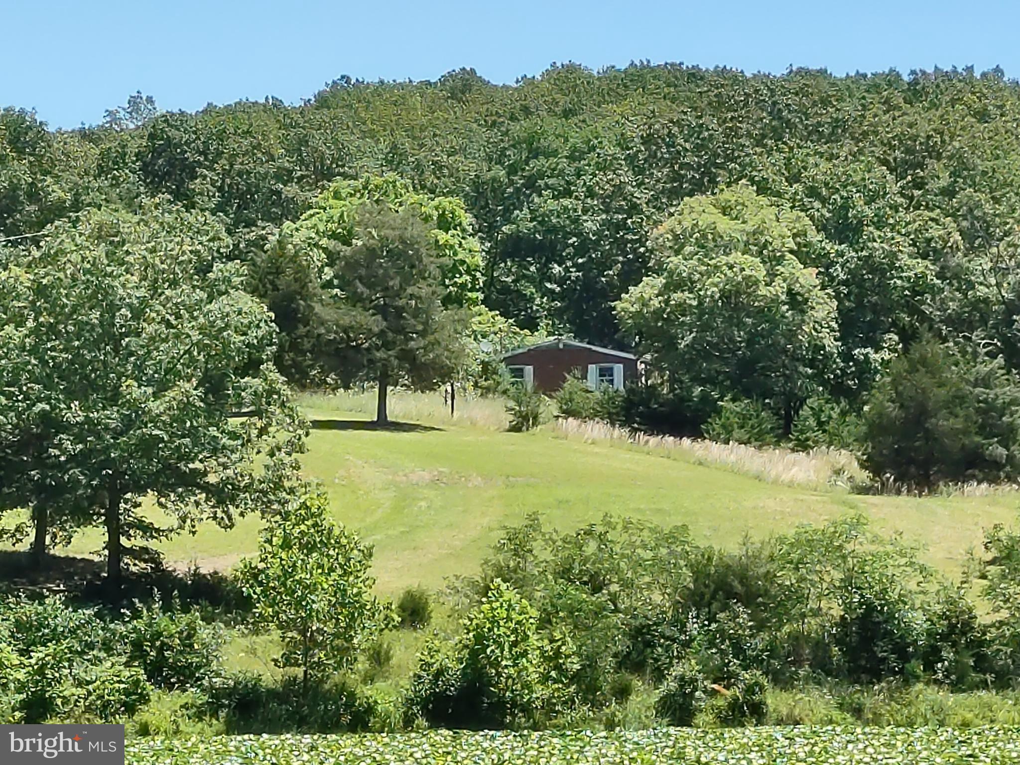 415 Dusty Ln