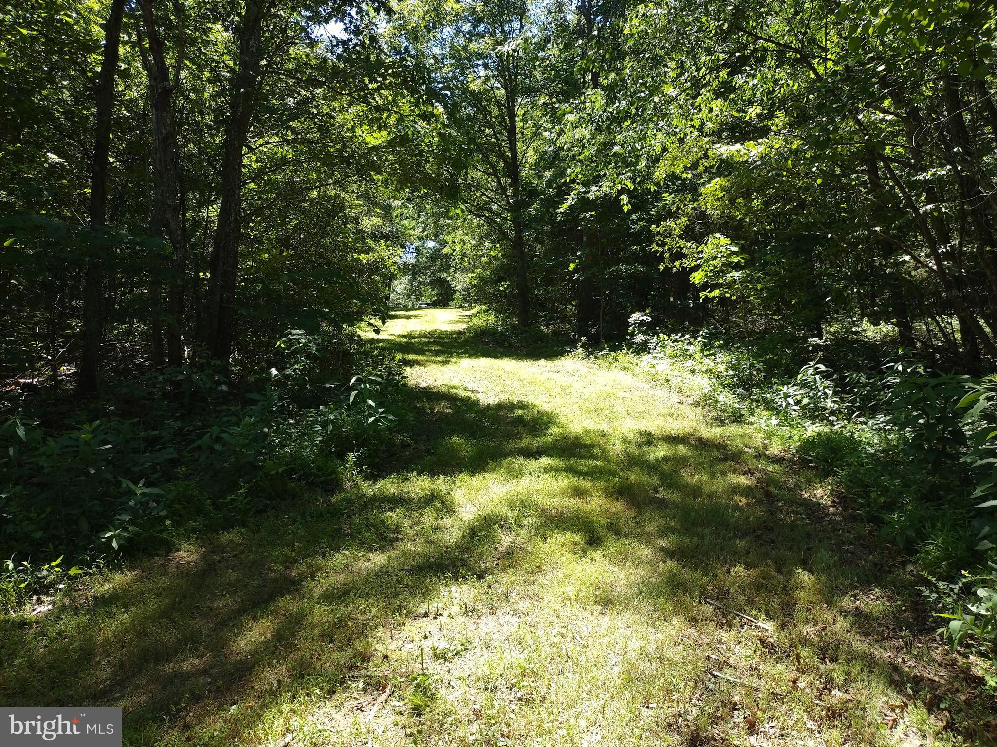 415 Dusty Ln