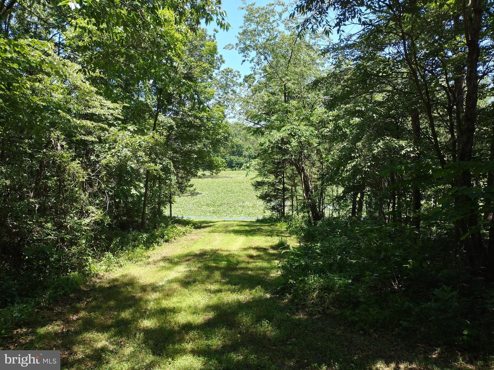 415 Dusty Ln