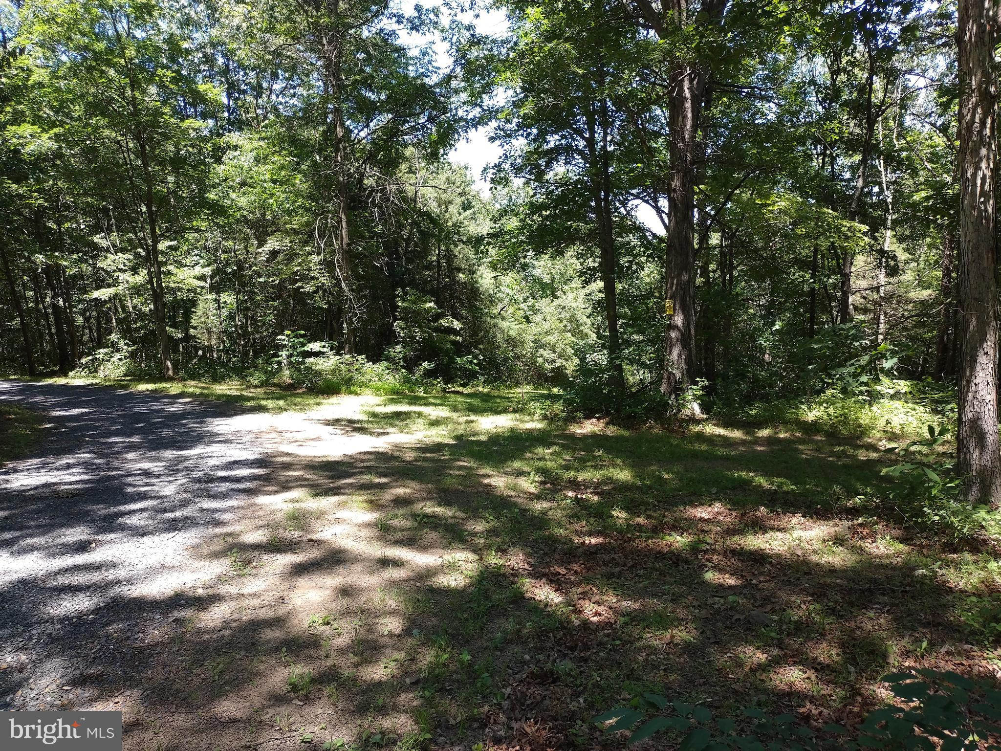 415 Dusty Ln